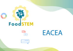 Submission of mid-term report to EACEA